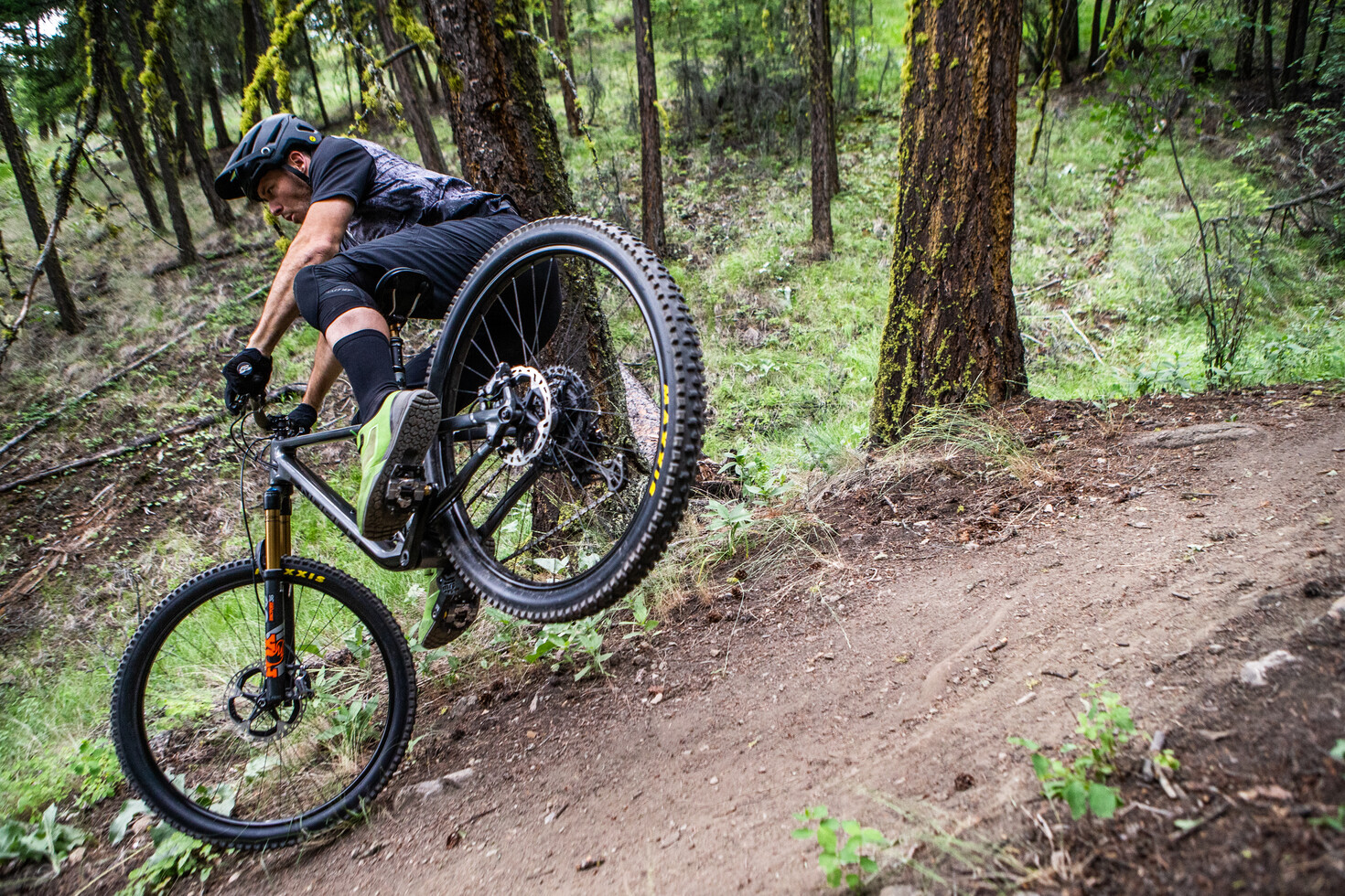 reebok freedom ladies mountain bike